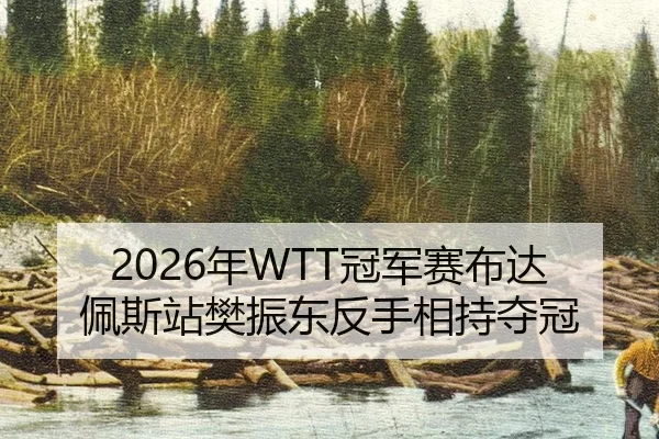 2026年WTT冠军赛布达佩斯站樊振东反手相持夺冠